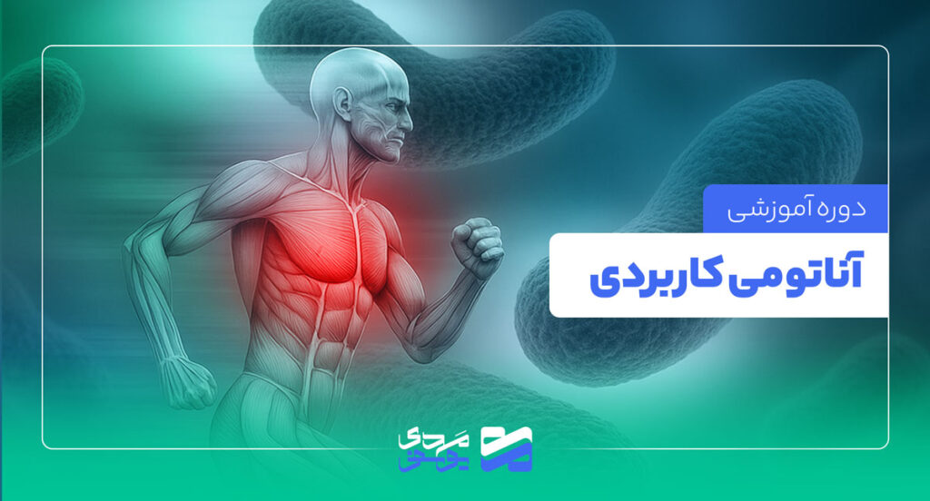 دوره آناتومی کاربردی