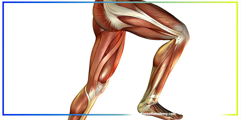 نکات عملی برای افزایش قدرت و استقامت پا