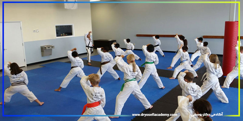 اصول طراحی برنامه تمرینی تکواندو