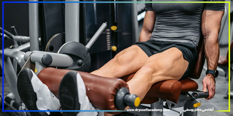 برنامه تمرینی پا رایگان از مبتدی تا حرفهای