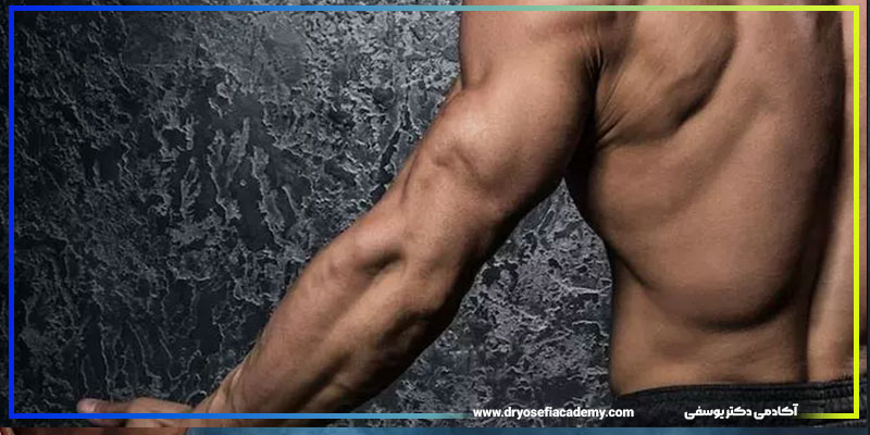 اصول علمی طراحی برنامه تمرینی دست چه مواردی هستند؟