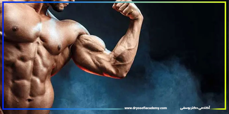 نمونه برنامه تمرینی دست برای یک هفته کامل