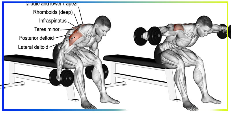 آموزش تصویری و مرحله به مرحله
