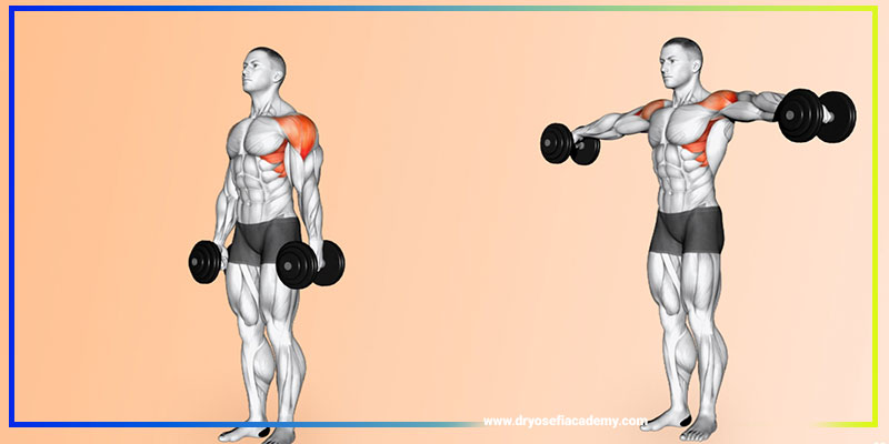 نشر جانب دمبل چیست؟