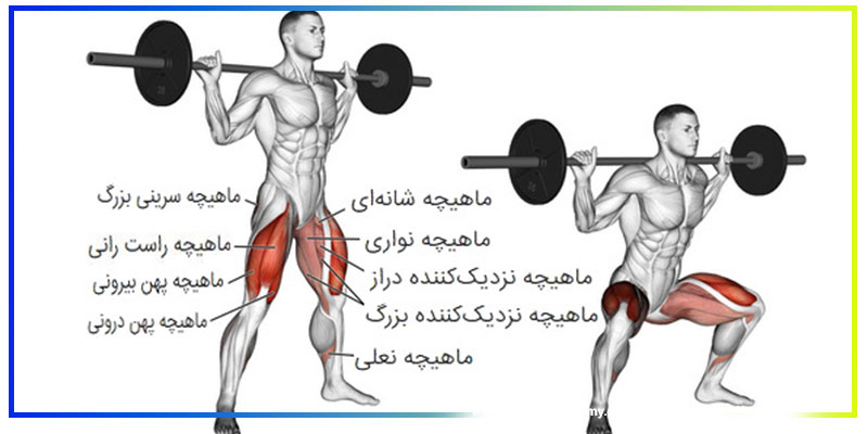 تکنیک صحیح اسکوات هالتر