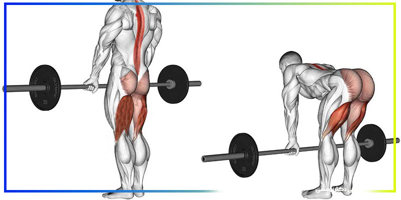  تکنیک ددلیفت رومانیایی