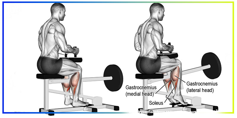 طرز صحیح ساق پا نشسته دستگاه