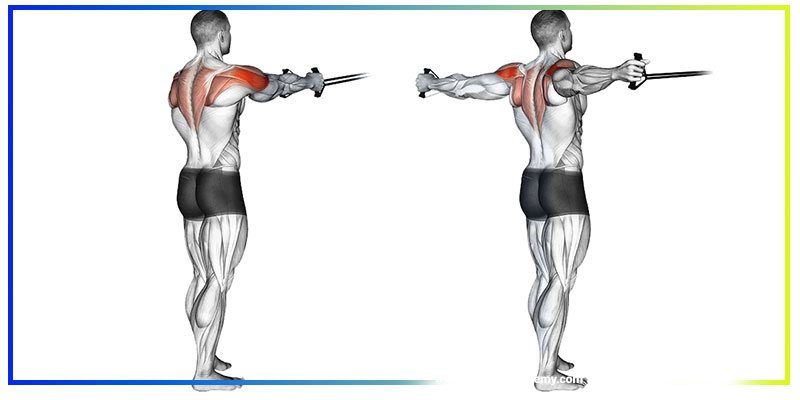 تمرینات موثر برای تقویت و پیشگیری از آسیب شانه‌ها